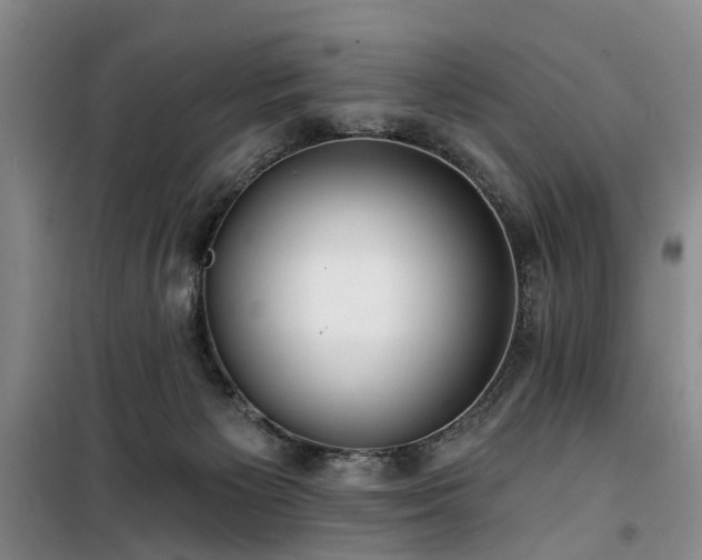 X0000100200125200805301318