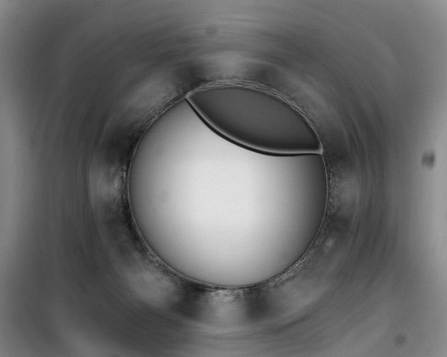 X0000100200126200805301318