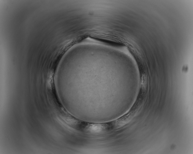 X0000100200127200805301318