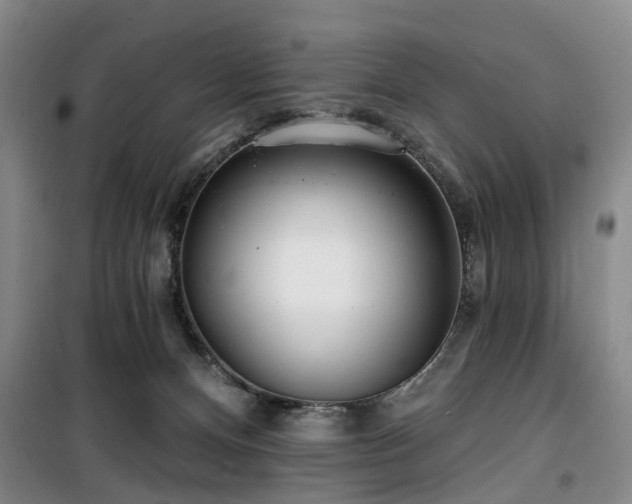 X0000100200128200805301318