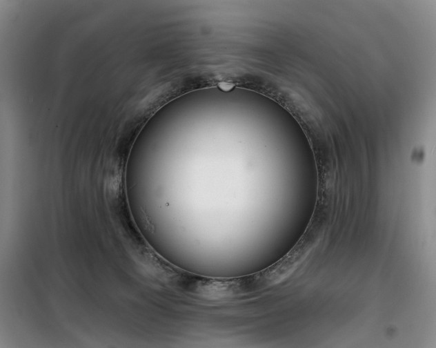 X0000100200129200805301318