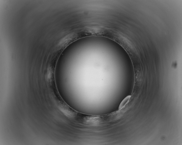 X0000100200132200805301318