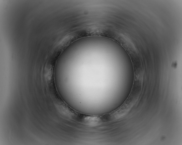 X0000100200133200805301318