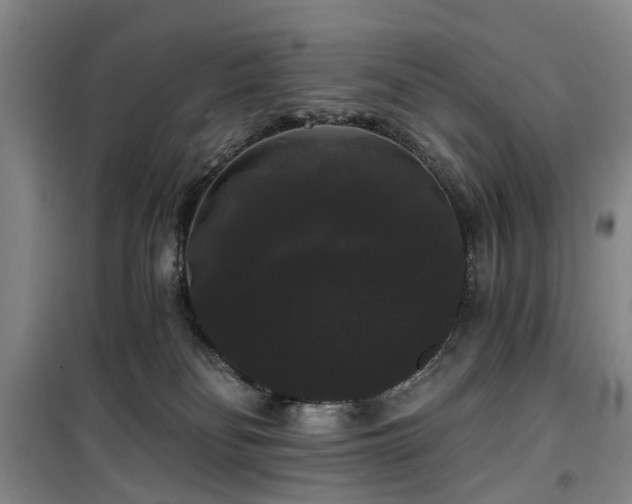 X0000100200134200805301318