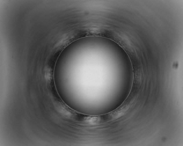 X0000100200135200805301318