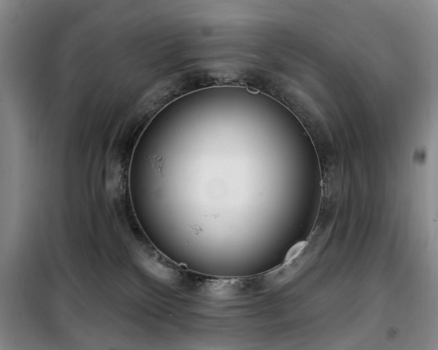 X0000100200136200805301318