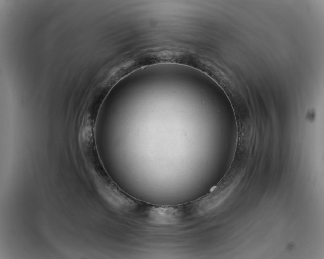 X0000100200137200805301318