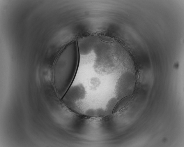 X0000100200138200805301318