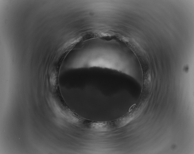 X0000100200139200805301318