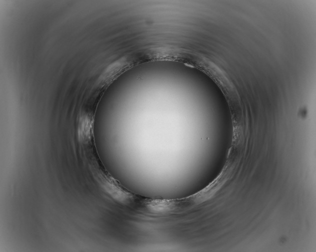 X0000100200142200805301318