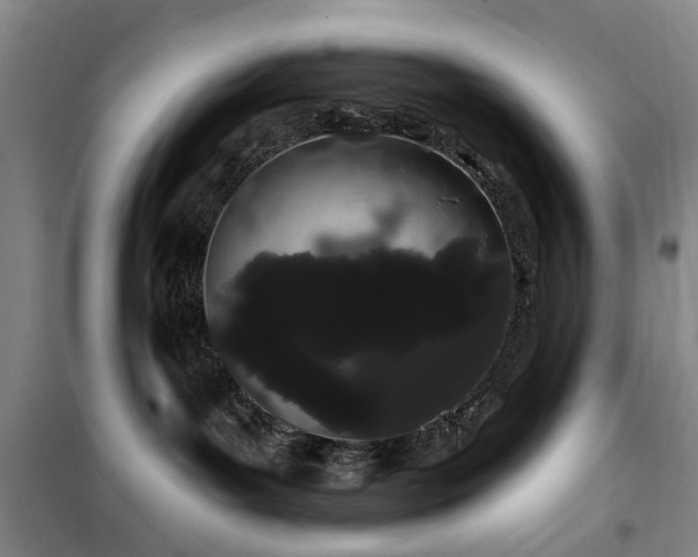 X0000100200143200805301318