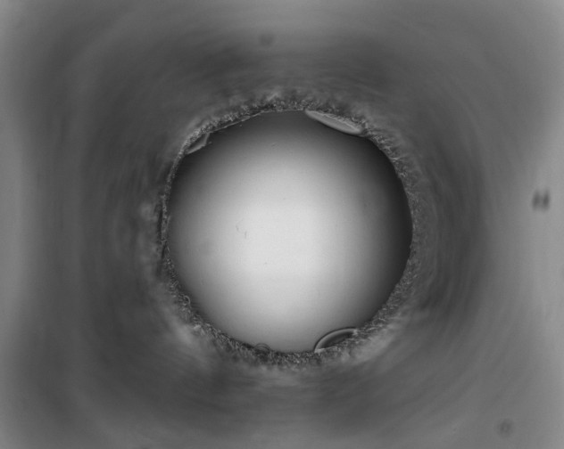 X0000100200144200805301318