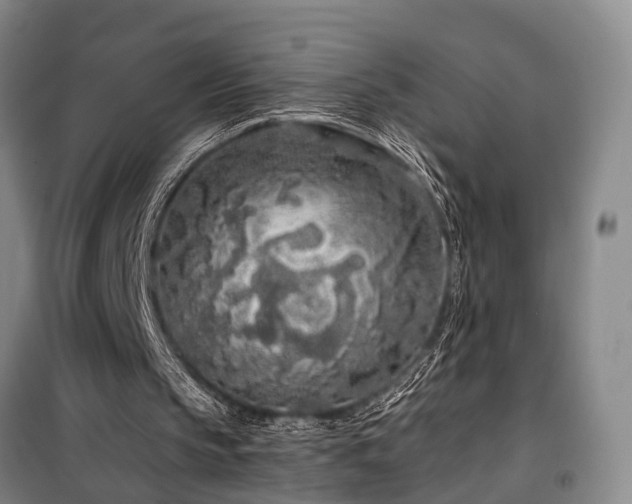 X0000100200145200805301317