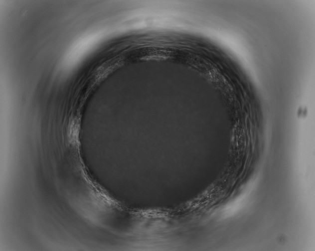 X0000100200146200805301317