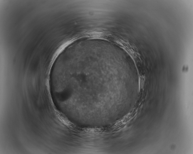 X0000100200147200805301317