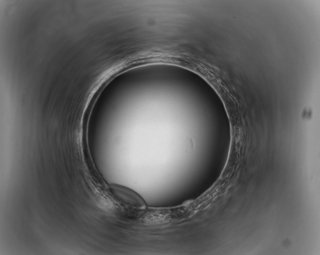 X0000100200148200805301317