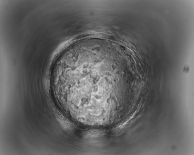 X0000100200149200805301317