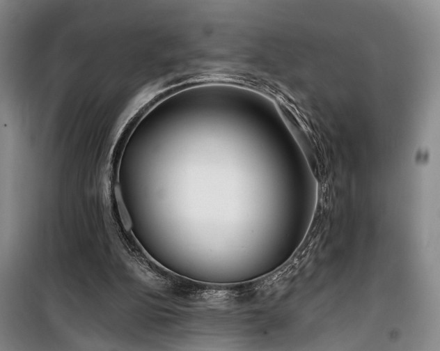 X0000100200152200805301317