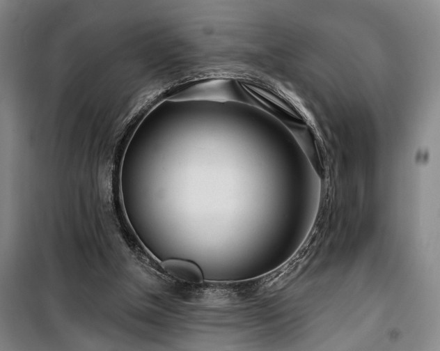 X0000100200154200805301317