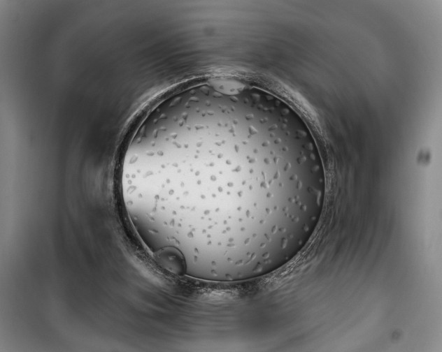 X0000100200155200805301317