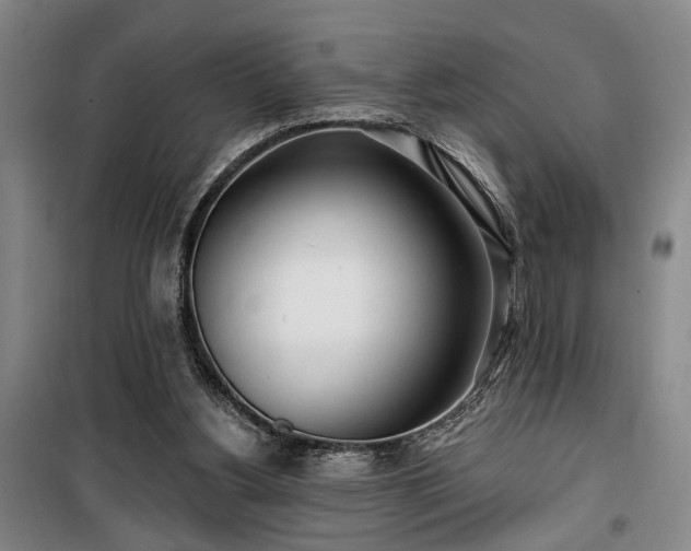 X0000100200156200805301317