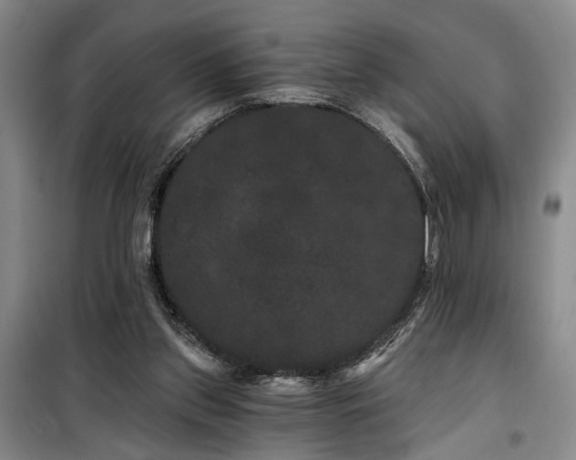 X0000100200157200805301317