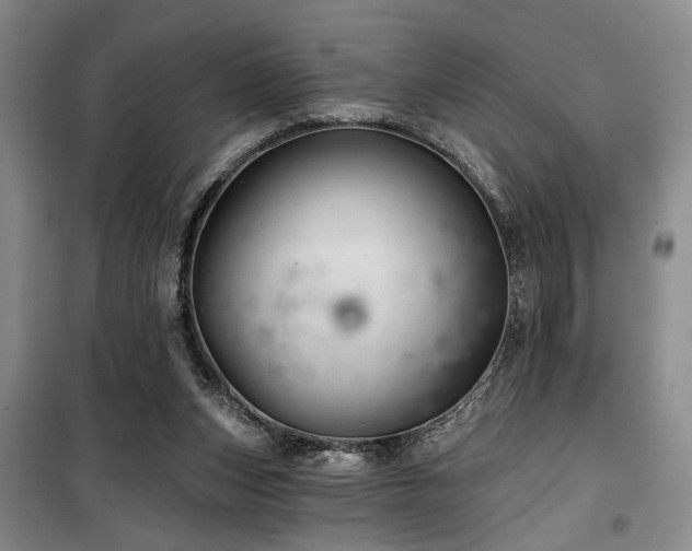 X0000100200159200805301318