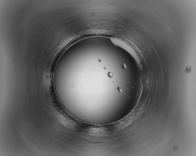 X0000100200160200805301318