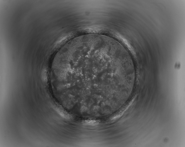 X0000100200161200805301318