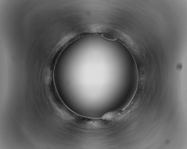 X0000100200164200805301318