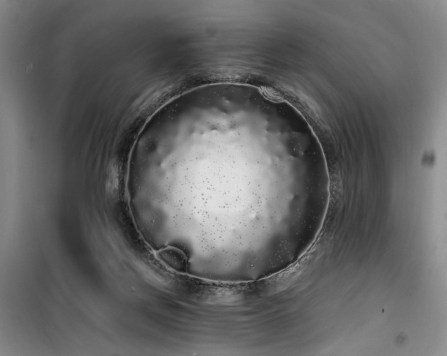 X0000100200166200805301318