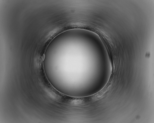 X0000100200168200805301318