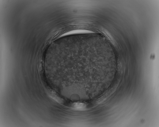 X0000100200169200805301318