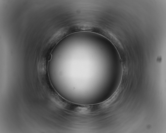 X0000100200170200805301318