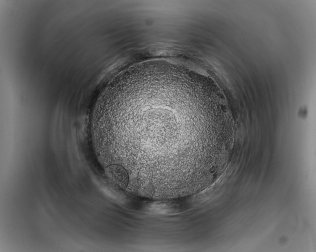 X0000100200171200805301318