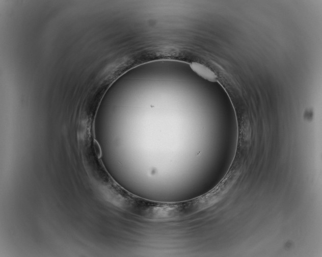 X0000100200172200805301318