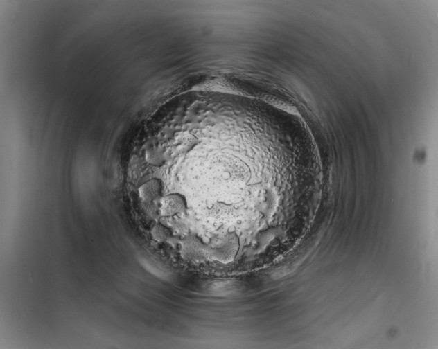 X0000100200173200805301318