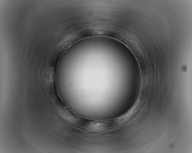 X0000100200174200805301318