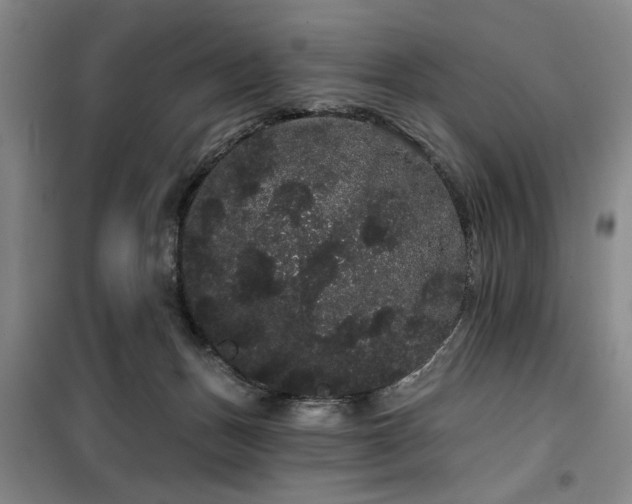 X0000100200175200805301318