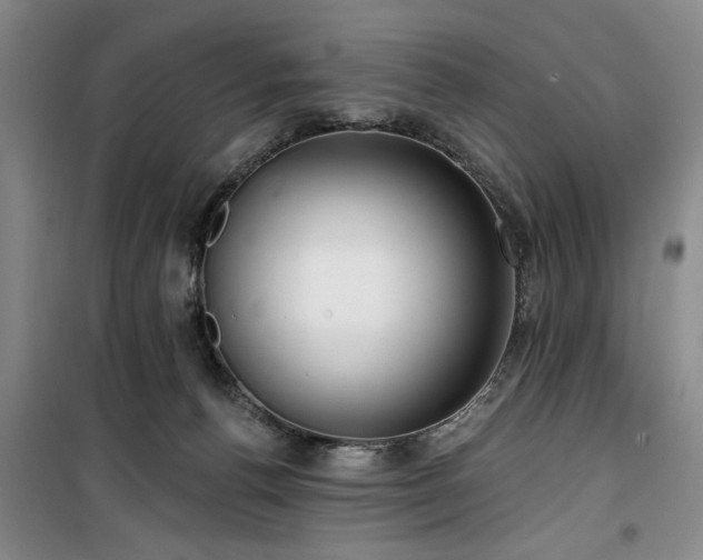 X0000100200176200805301318