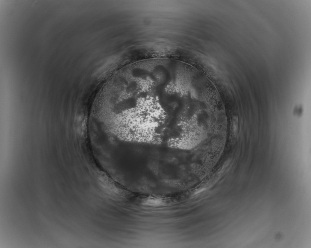 X0000100200177200805301318