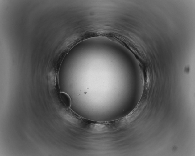 X0000100200180200805301318