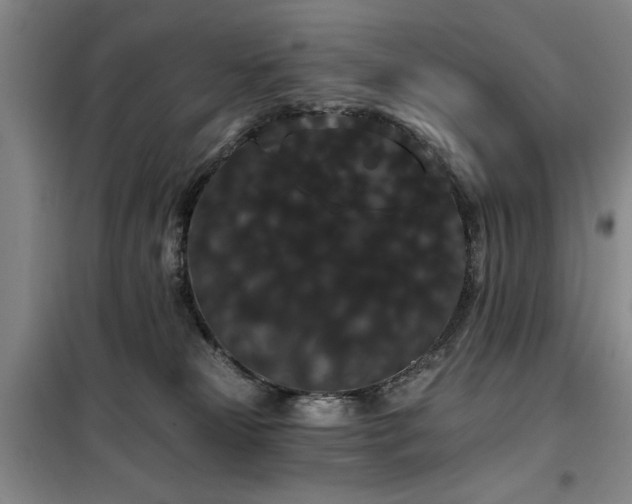 X0000100200181200805301318