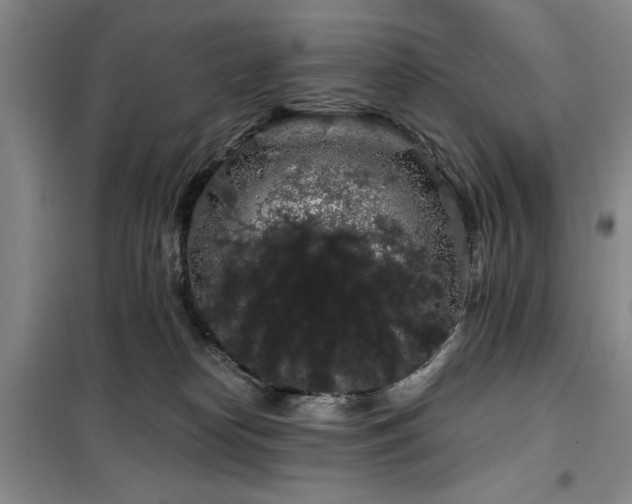 X0000100200182200805301318