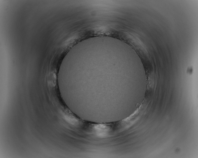 X0000100200183200805301318