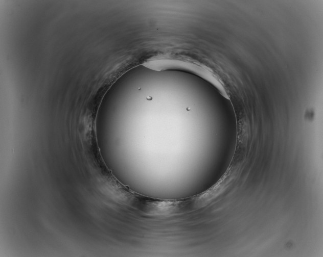 X0000100200184200805301318