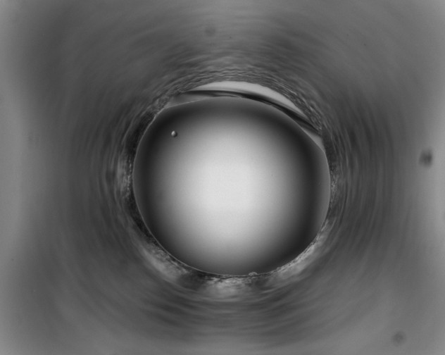 X0000100200186200805301318