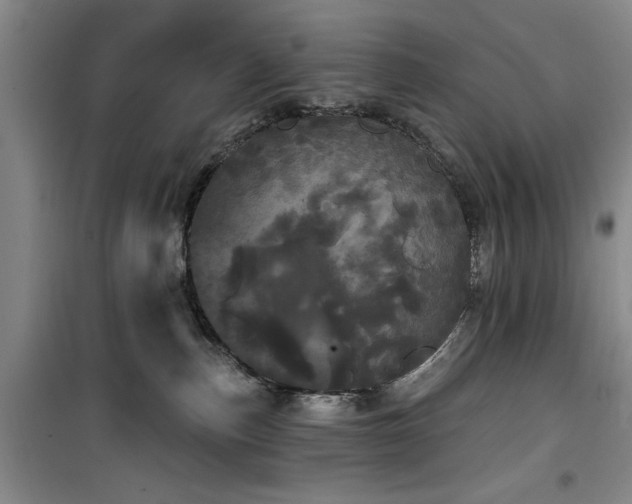 X0000100200187200805301318