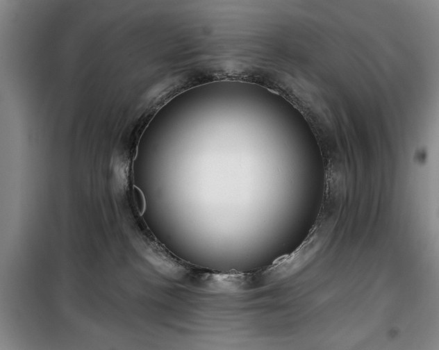 X0000100200188200805301318