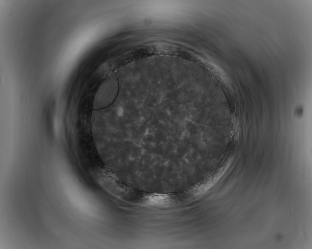 X0000100200189200805301318